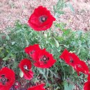 용우농장 이미지