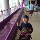 MTA 블랙벨트 태권도장 이미지