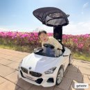 대호피부