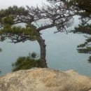 대왕바우 이미지