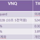 [스터디] 미국 부동산에 투자하는 리츠 ETF는? (VNQ | TIGER 미국MSCI리츠 ETF 소개) 이미지