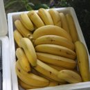 야정농장 이미지