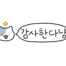 횡성토종한우프라자 이미지
