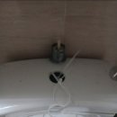 버드나루로 이미지