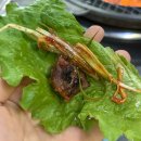 씨유마곡더랜드점 | [마곡나루] 육즙으로 말하는 집, 소갈비살 땡길 땐 여기! 쭌이네생고기 솔직후기