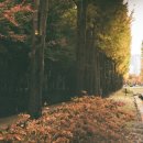 COFFEE TO GO (커피투고) | 팝아트의 거장은 어떤 카메라를 썼을까?