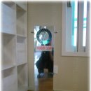 미라클코리아 이미지