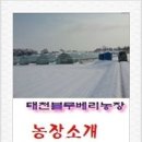 태천농장 이미지