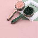 스마일애견미용 이미지