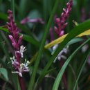 길상초등학교 이미지