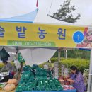 에벤에셀구기자농장
