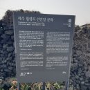 제주 월령리 선인장군락 | 제주-제주월령리선인장군락