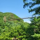 카페좌구산 다나우토바 이미지