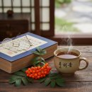 새순1농장 | 저렴하고 믿을 수있는 '울릉도 마가목 진액' (재주문 多)