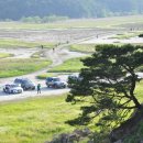 송산면 사강1리 경로당 | [화성] 내년이면 없어질 한국의 세렝게티...수섬! 그 시화호 간척지로 삘기와 일몰의 향연을 보러갑니다...