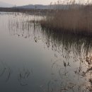 성주소류지 이미지