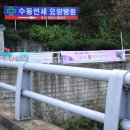 수동연세요양병원