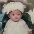 수연 이미지