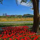 용비쉼터 이미지