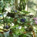 경환농장 이미지