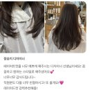 차홍룸 판교점 | 판교/분당미용실 차홍룸 판교점 내돈내산 후기