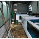 올레요 회센터 이미지