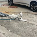 봉포건어물마트