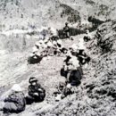 수남농장 이미지