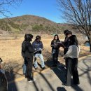 전주 두꺼비 이미지