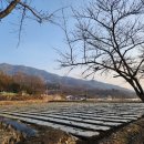 고비올 농장 이미지