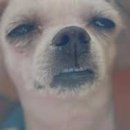 이랑비랑한약국 이미지