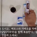 약사가 복용하는 숙취해소 약 이미지