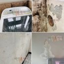 (주)금강 | 안성 당왕동 대우아파트 습기조절 탄성코트 시공 후기 함께 볼까?
