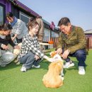 우리동네펫 이미지