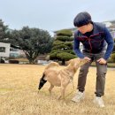 BG독케어센터 이미지