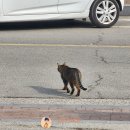 가람웍스