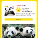 자연동화 이미지