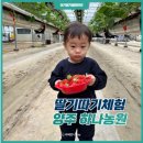 양주 아이와 가볼만한곳 하나농원 딸기따기 체험 후기