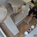 함께냥 성남점 이미지