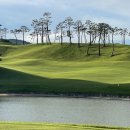 호텔 블루스토리해운대 이미지