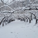 천만농장2 이미지