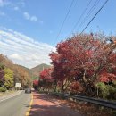 용성어탕 이미지