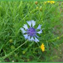 태훈농장 이미지