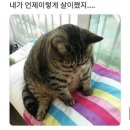 SBS골프아카데미 | Jan : 2024년 미션, 다이어트