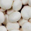 양송농장2 이미지