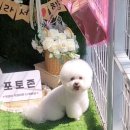 헤이몽 네이버블로그