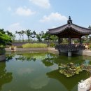 회산백련지 수상유리온실 이미지