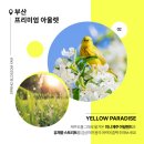 사전직무교육 마지막 주 월요일_ 유데미x스나이퍼팩토리 콘텐츠디자인 인턴형 프로그램 1기 - DAY 11...