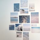 언플랜드88 이미지