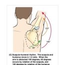 데이짐PT 이미지